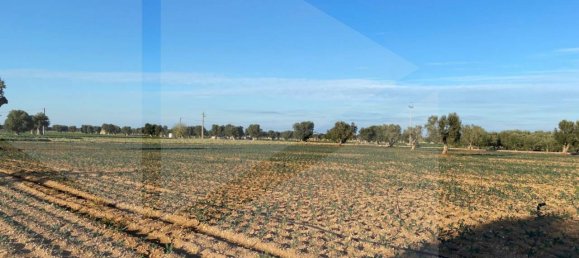 Land in Fasano, Italy No. 27774 7