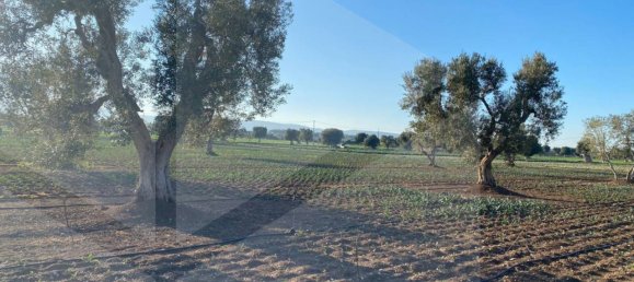 Land in Fasano, Italy No. 27774 2