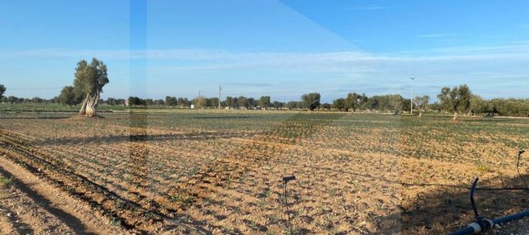 Land in Fasano, Italy No. 27774 5