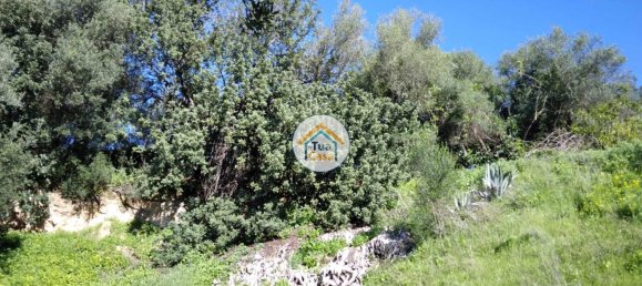 Terrain à Salir, Portugal 1250m² No. 71939 16