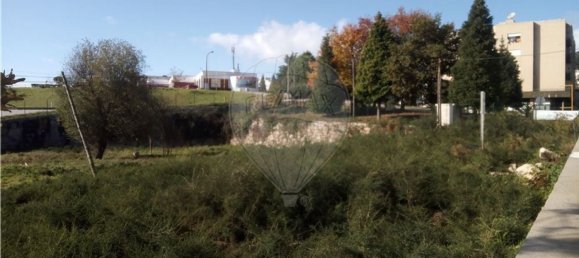 5050m² Land in Baltar, Portugal No. 40728 4