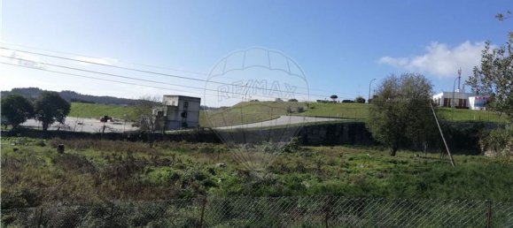 5050m² Land in Baltar, Portugal No. 40728 7