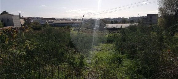 5050m² Land in Baltar, Portugal No. 40728 8