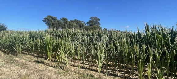 قطعة أرض في Ovar, Portugal 1100متر مربع رقم 25318 9