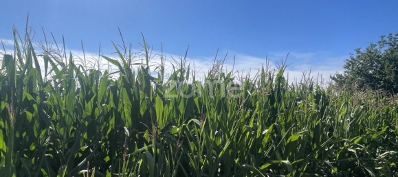 قطعة أرض في Ovar, Portugal 1100متر مربع رقم 25318 7