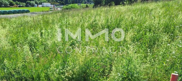 Land in Behamberg, Austria No. 148029 4