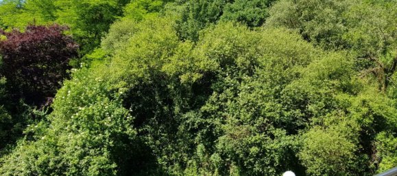 1 غرف نوم شقة في Oviedo, Spain رقم 154124 16