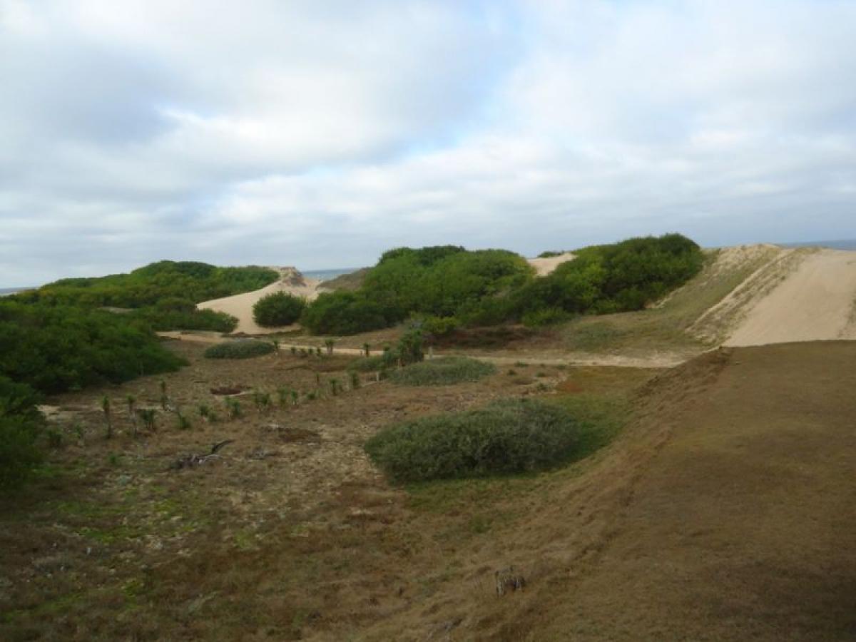  Land in Maldonado, Uruguay No. 15893
