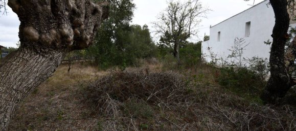 3 bedrooms Villa in Ceglie Messapica, Italy No. 91223 16