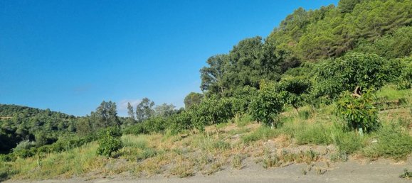 11 bedrooms House in Gaucin, Spain No. 164728 105