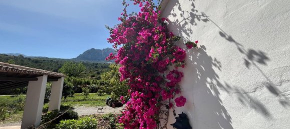 11 bedrooms House in Gaucin, Spain No. 164728 45