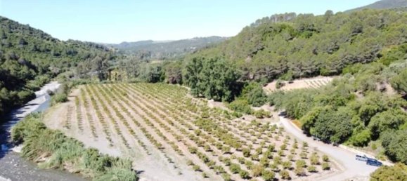 11 bedrooms House in Gaucin, Spain No. 164728 99