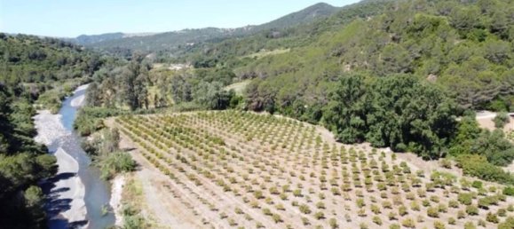 11 bedrooms House in Gaucin, Spain No. 164728 52