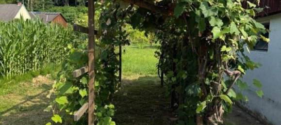 4 rooms Bungalow in Fehring, Austria No. 146906 16