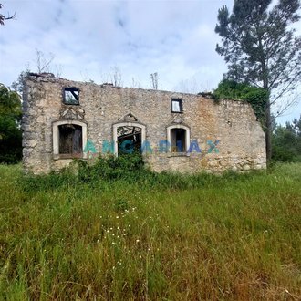 2 bedrooms House in Cadima, Portugal No. 176978