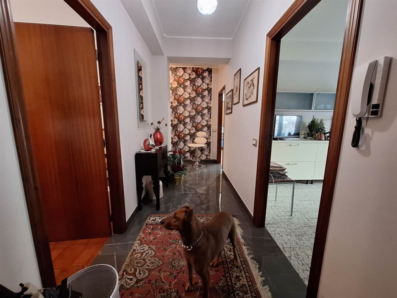 5 rooms Apartment in Treia, Italy No. 195939