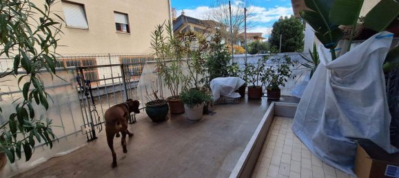 5 rooms Apartment in Treia, Italy No. 195939 15