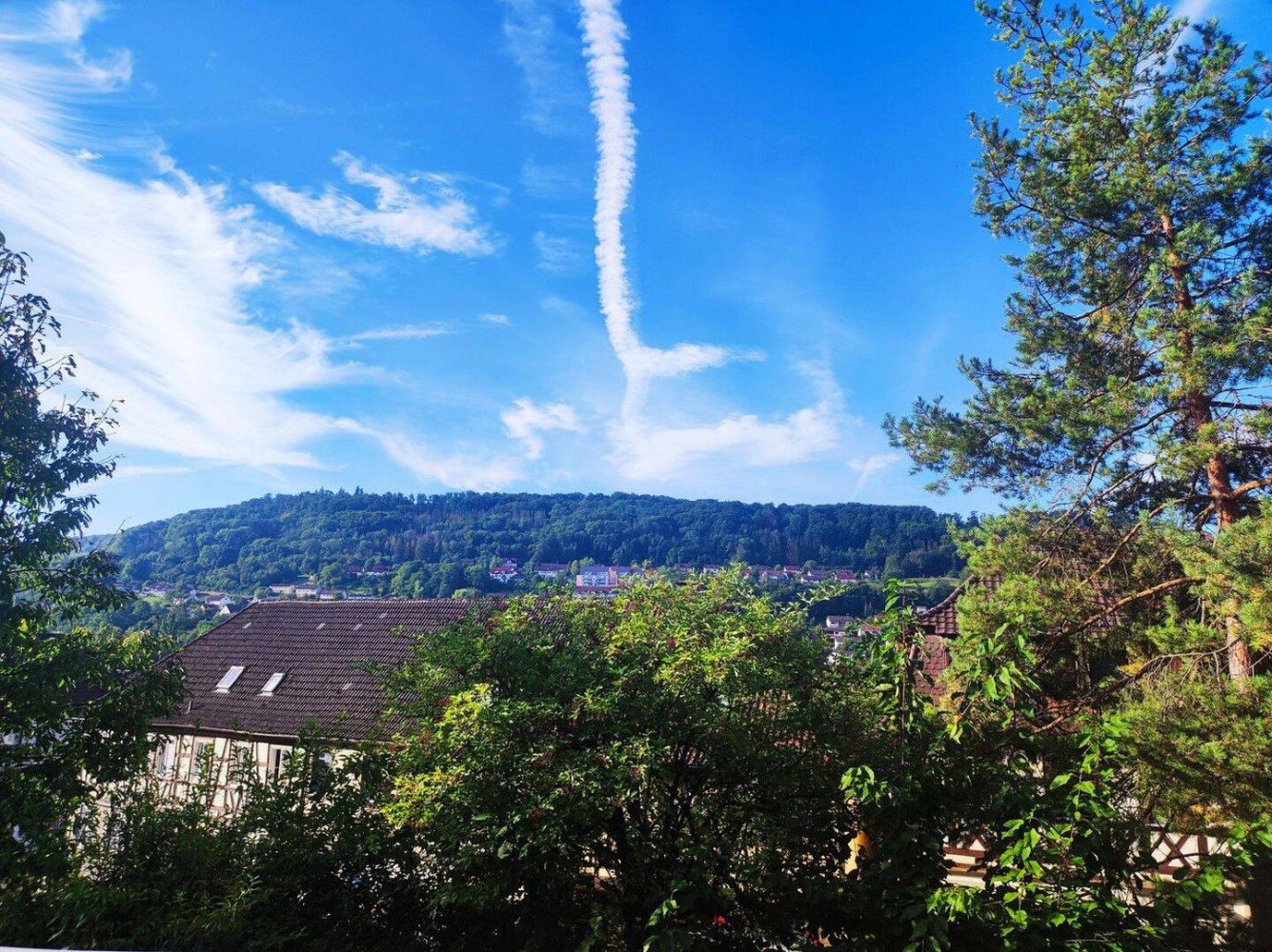 3 غرف نوم شقة في Hohenlohe, Germany رقم 217843