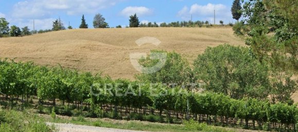 8 bedrooms House in Castelfiorentino, Italy No. 233570 20