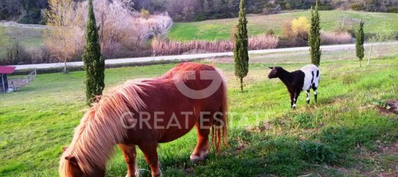 8 bedrooms House in Castelfiorentino, Italy No. 233570 14