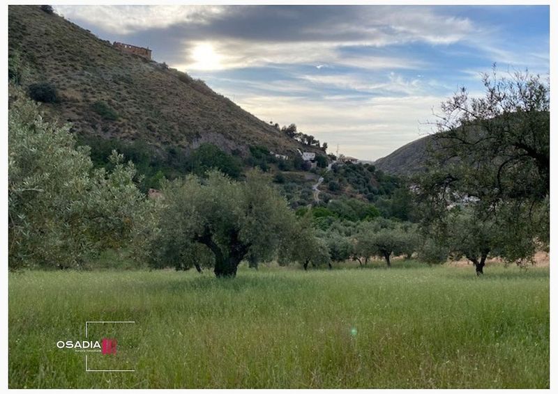 Grundstück in Monachil, Spain 3514m², Nr. 222658