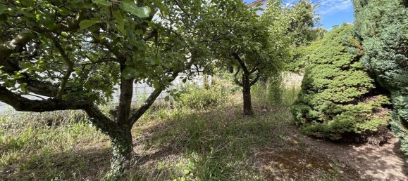 2 غرف نوم تاون هاوس في Rhineland-Palatinate, Germany رقم 325076 8