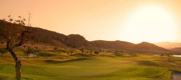 3 bedrooms Villa in Monforte del Cid, Spain No. 2667 11