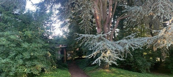 7 chambres Maison à Bermerain, France No. 248199 17