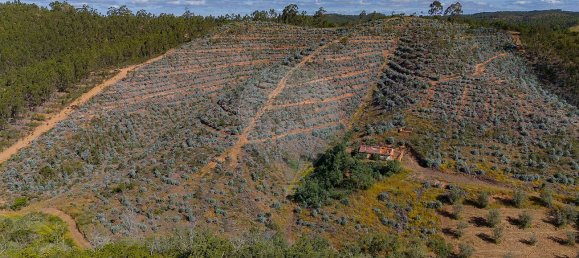 125m² Land in Reliquias, Portugal No. 41961 4