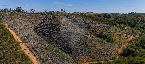 125m² Land in Reliquias, Portugal No. 41961 3