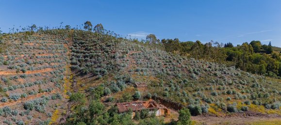 125m² Land in Reliquias, Portugal No. 41961 28