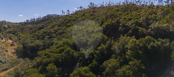 125m² Land in Reliquias, Portugal No. 41961 19