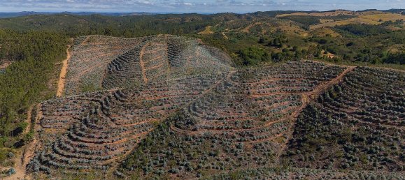 125m² Land in Reliquias, Portugal No. 41961 21