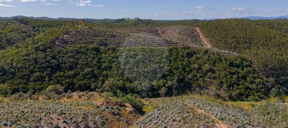 125m² Land in Reliquias, Portugal No. 41961 31