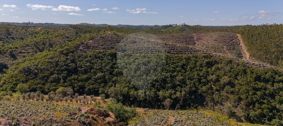 125m² Land in Reliquias, Portugal No. 41961 30