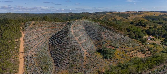 125m² Land in Reliquias, Portugal No. 41961 20