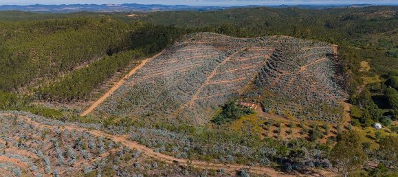 125m² Land in Reliquias, Portugal No. 41961 24