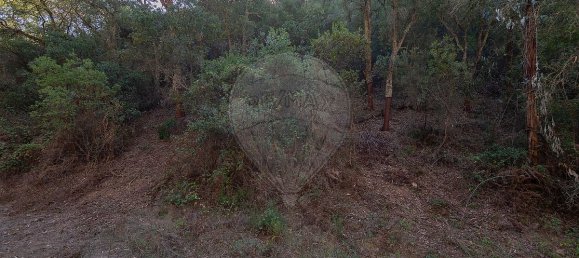 125m² Land in Reliquias, Portugal No. 41961 15