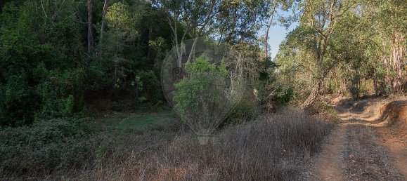125m² Land in Reliquias, Portugal No. 41961 16