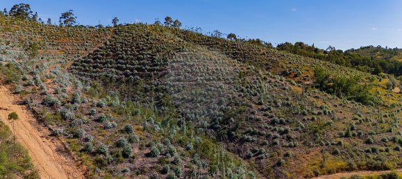 125m² Land in Reliquias, Portugal No. 41961 18