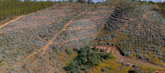 125m² Land in Reliquias, Portugal No. 41961 27