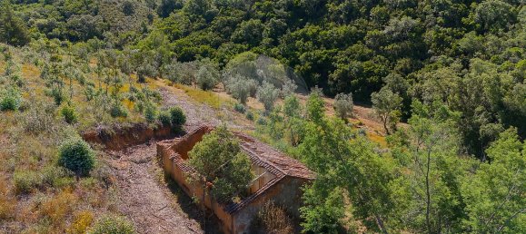 125m² Land in Reliquias, Portugal No. 41961 12