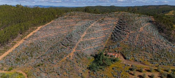 125m² Land in Reliquias, Portugal No. 41961 26