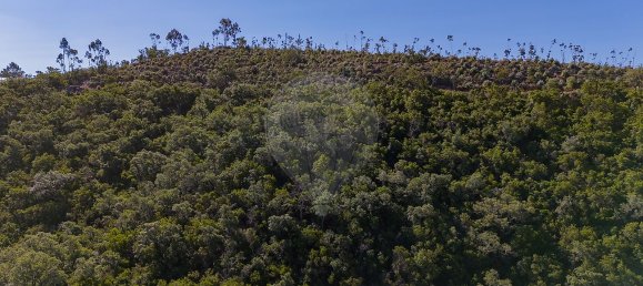 125m² Land in Reliquias, Portugal No. 41961 29