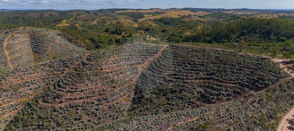 125m² Land in Reliquias, Portugal No. 41961 22