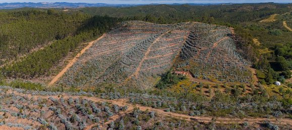 125m² Land in Reliquias, Portugal No. 41961 23