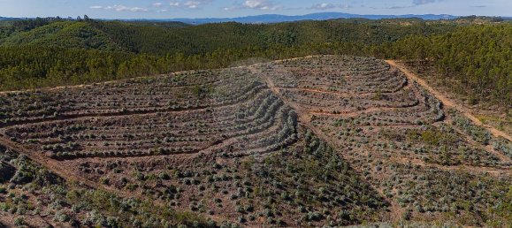 125m² Land in Reliquias, Portugal No. 41961 25