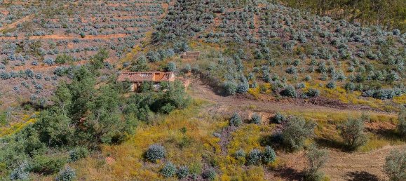125m² Land in Reliquias, Portugal No. 41961 34