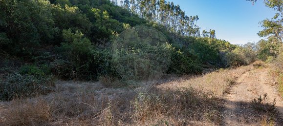 125m² Land in Reliquias, Portugal No. 41961 14