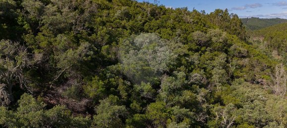 125m² Land in Reliquias, Portugal No. 41961 36